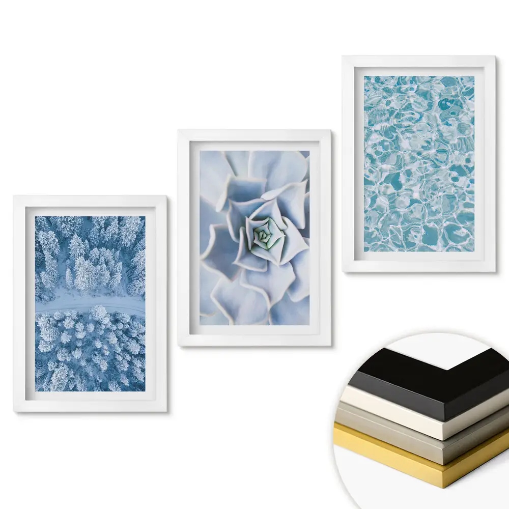 Triptych Zimní krajina a křehké květiny v rámu