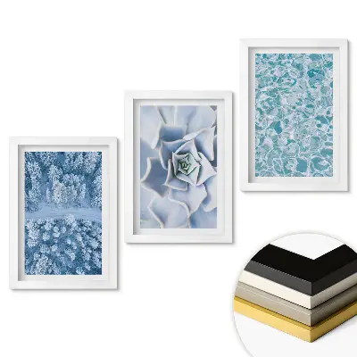 Triptych v rámu Zimní krajiny a křehké květiny