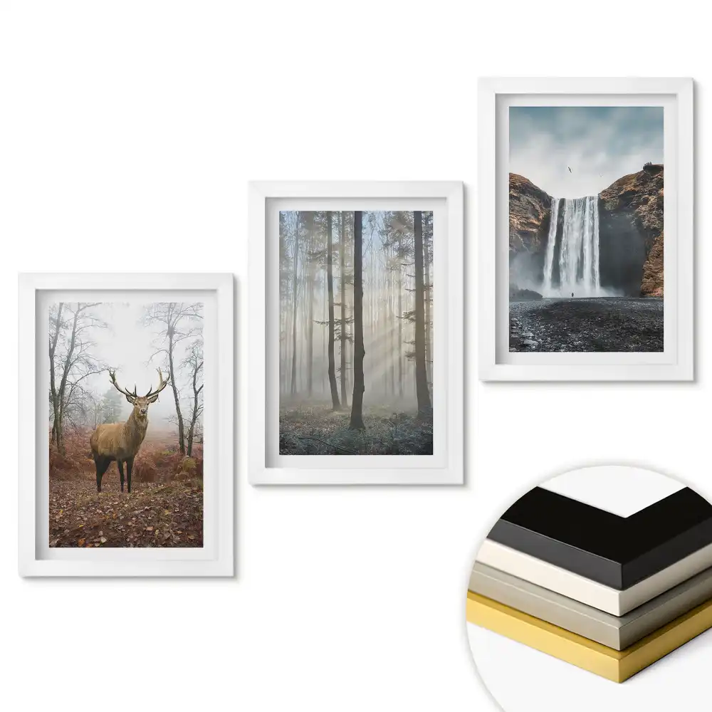 Triptych v rámu Příroda ve třech různých verzích