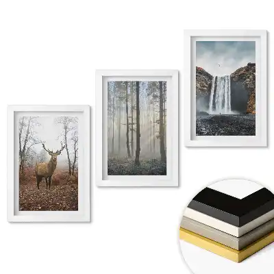 Triptych v rámu Příroda ve třech různých verzích