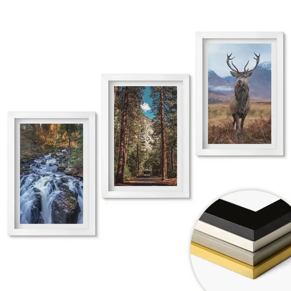 Triptych Příroda ve třech verzích v rámu