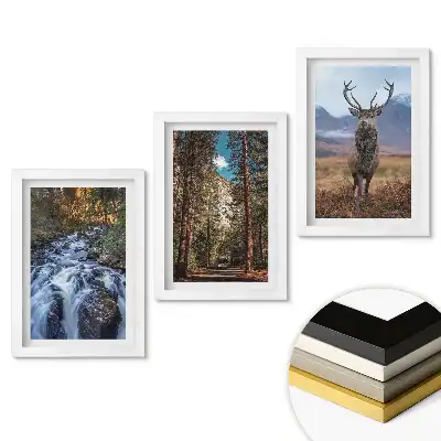 Triptych v rámu Příroda ve třech verzích