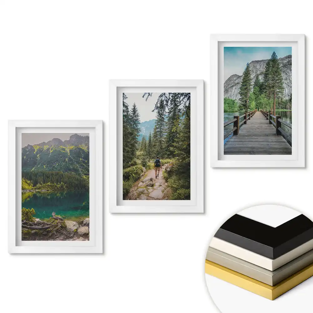Rámovaný triptych Příroda ve třech verzích