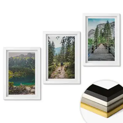 Triptych v rámu Příroda ve třech verzích