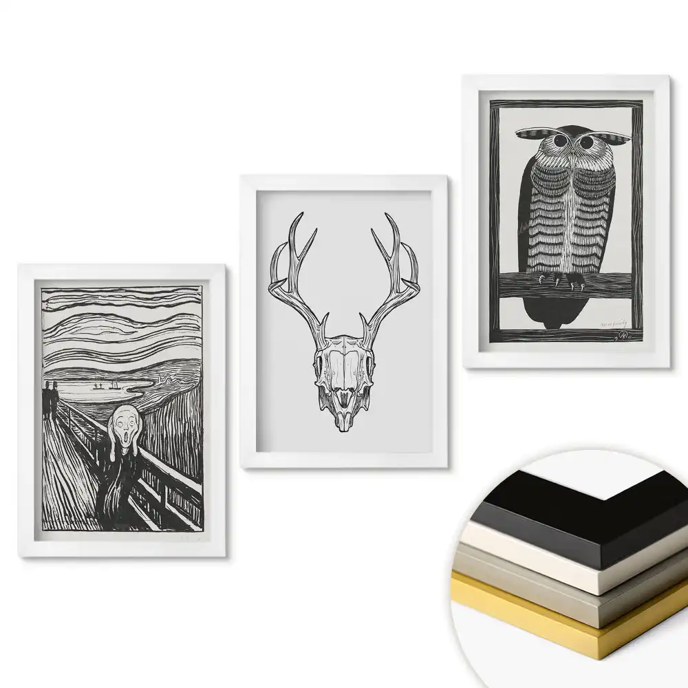 Černobílý triptych v rámu
