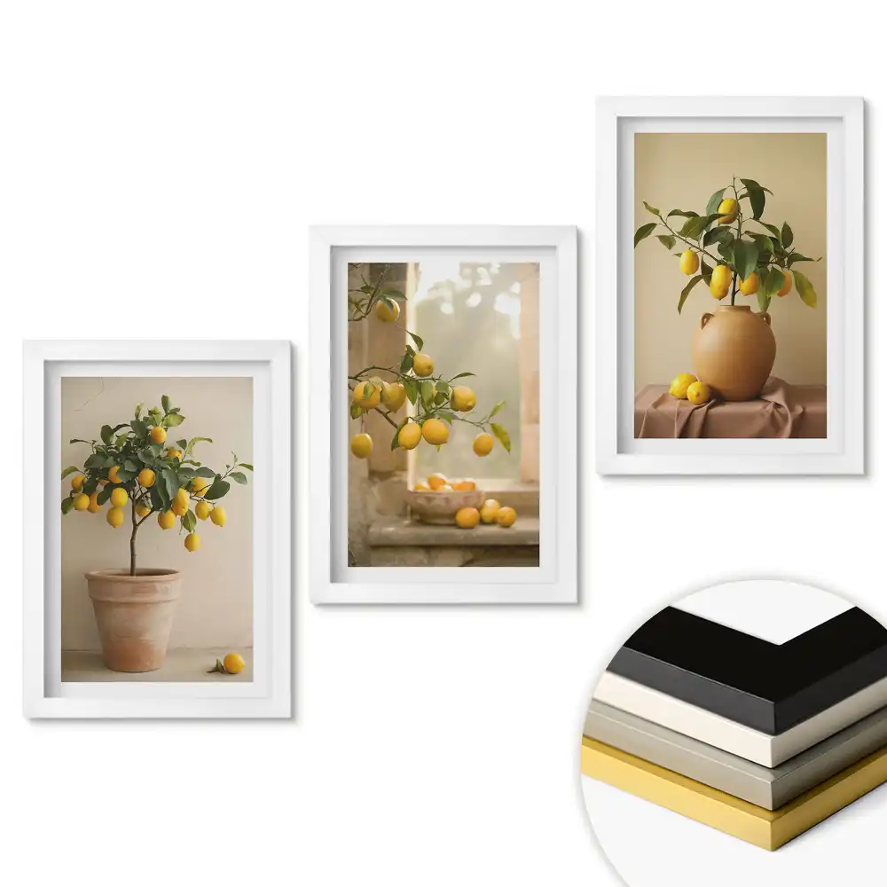 Triptych v rámu Citrusové kouzlo