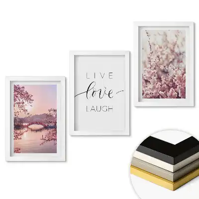 Triptych v rámu Květiny a inspirativní poselství života