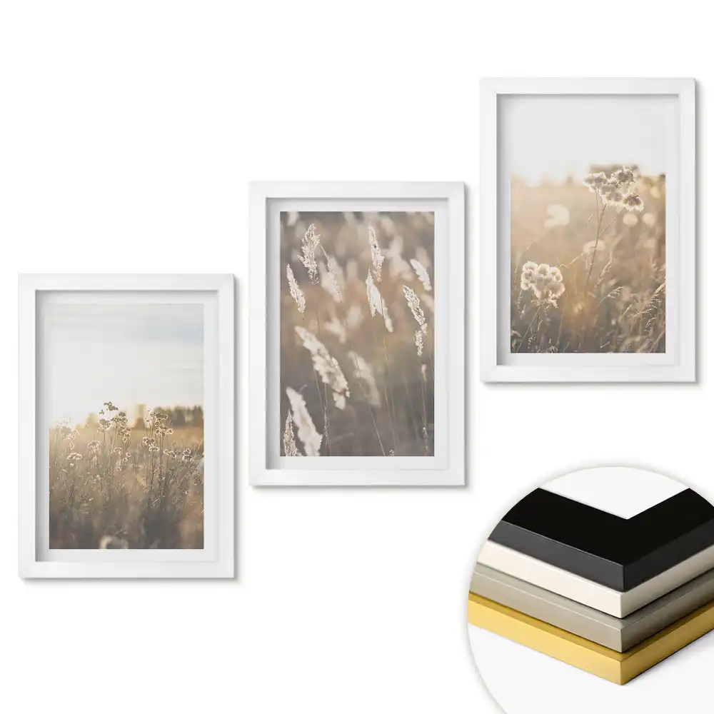 Triptych Květinové krajiny v měkkém světle v rámu