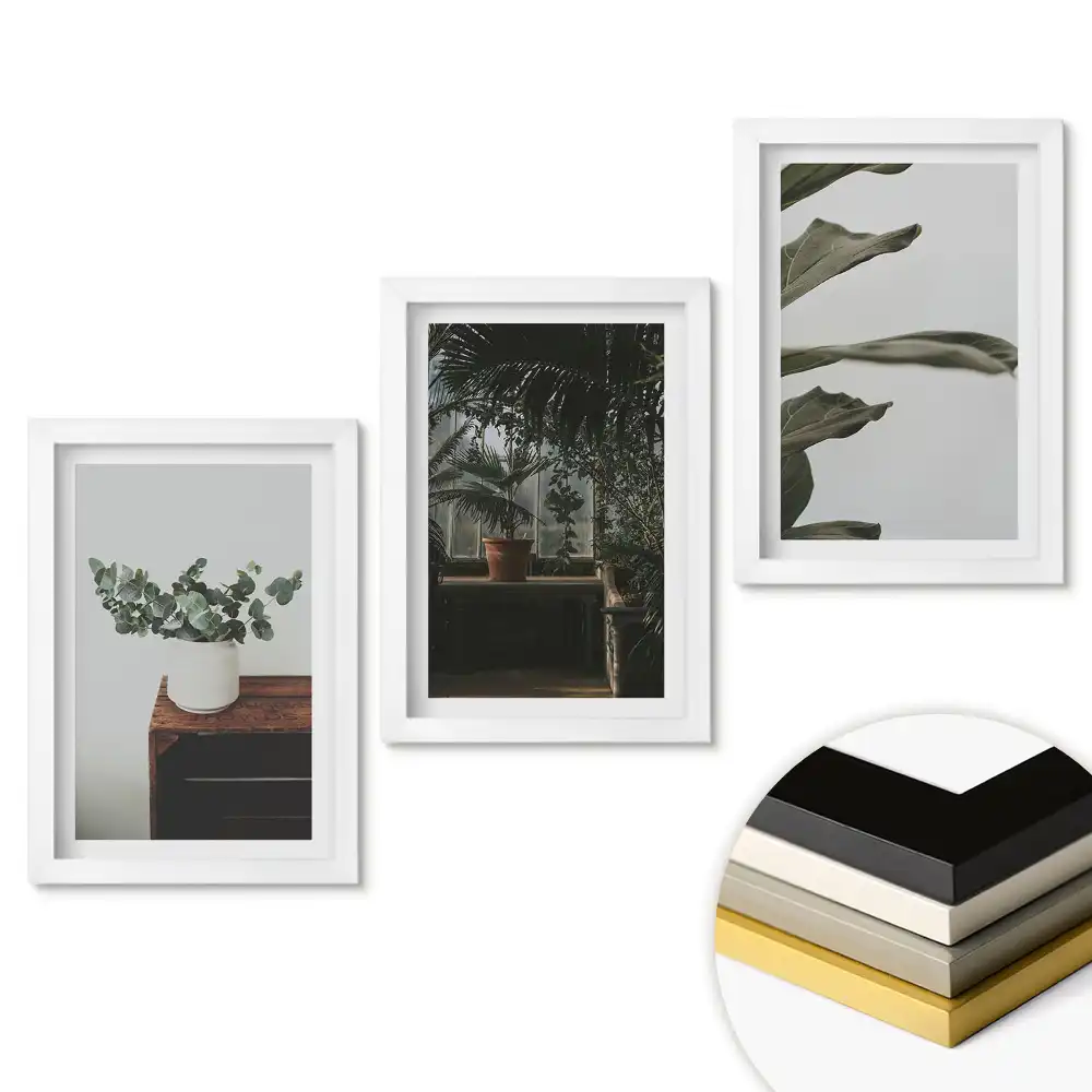 Triptych v rámu Rostliny v moderním interiéru