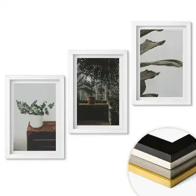 Triptych v rámu Rostliny v moderním interiéru