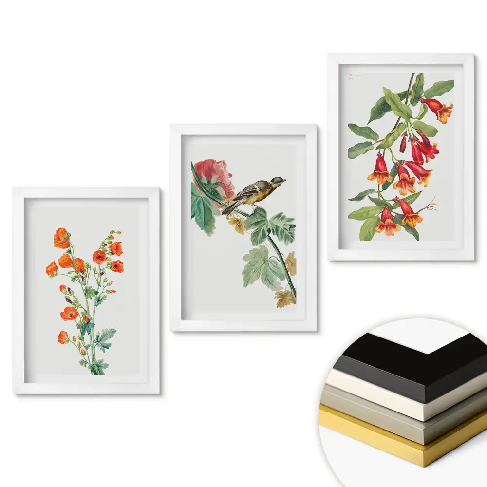Triptych Barevné květiny a ptáci v přírodě v rámu