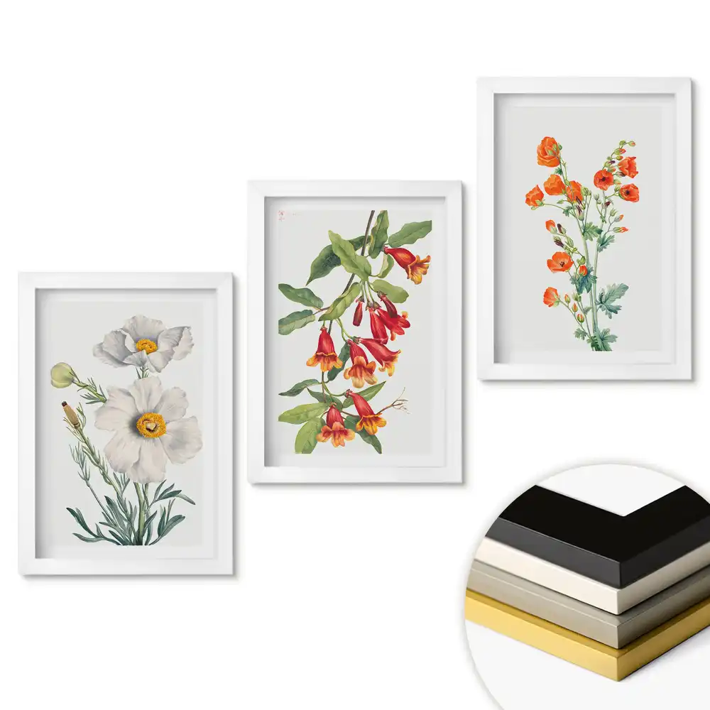 Triptych v rámu Květinové inspirace v jemných ilustracích