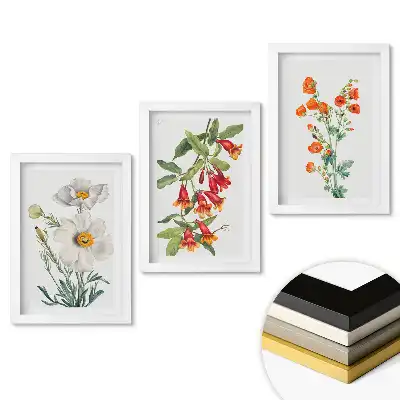 Triptych v rámu Květinové inspirace v jemných ilustracích