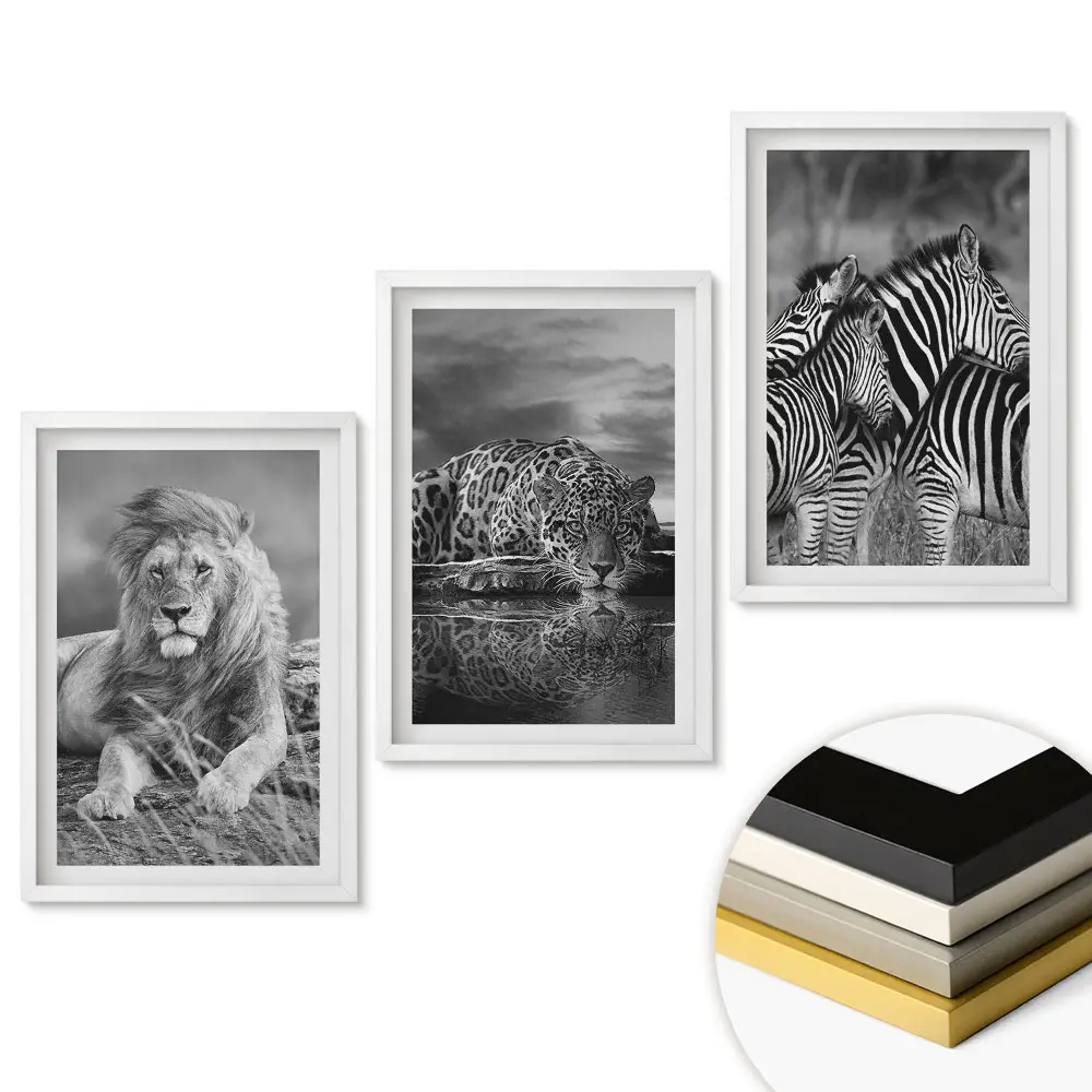 Set obrazů do obýváku Divoká příroda v monochromatickém stylu