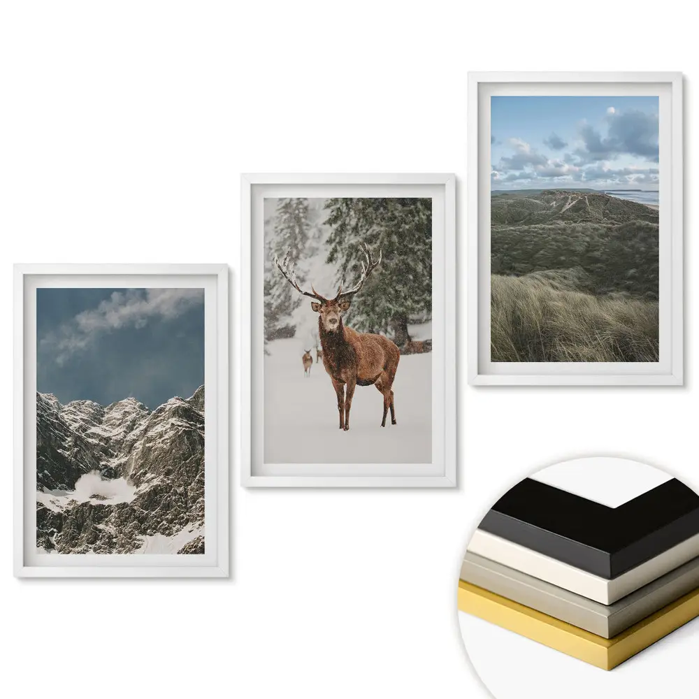 Triptych v rámu Příroda ve třech verzích