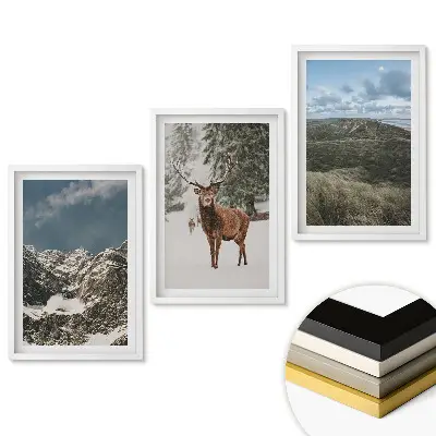 Triptych v rámu Příroda ve třech verzích