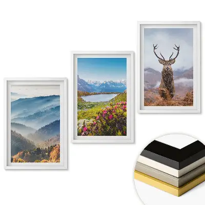 Triptych v rámu Krása přírody ve třech verzích