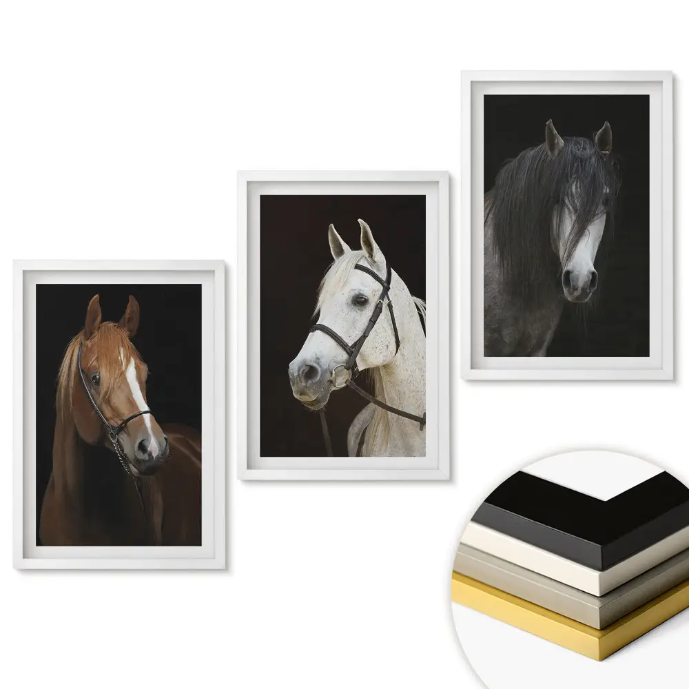 Triptych Tři portréty krásných koní v rámu
