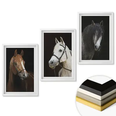 Triptych Tři portréty krásných koní v rámu