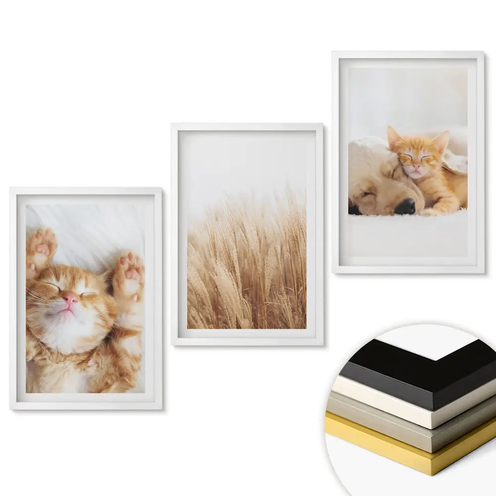 Triptych v rámu Kočky a mír v přírodním stylu