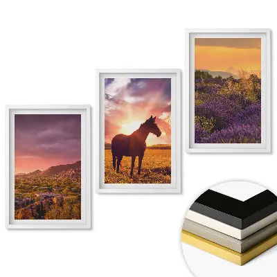 Triptych v rámu Krajina, koně a levandulová pole