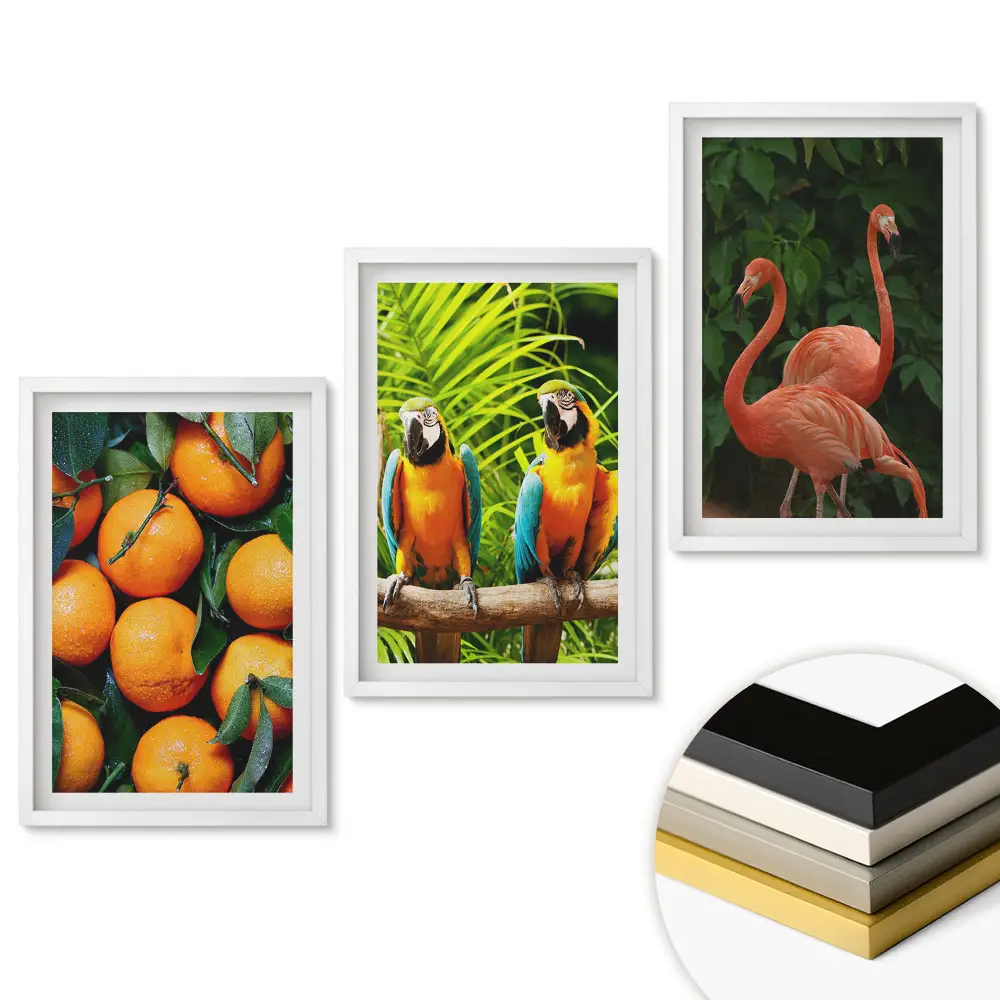 Triptych Barevná příroda v rámu