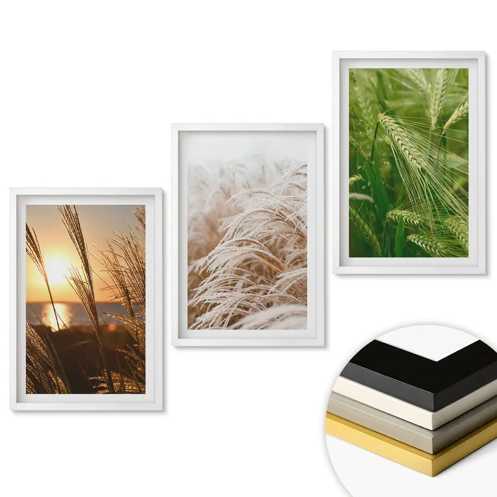 Triptych v rámu Zlatá travnatá pole při západu slunce