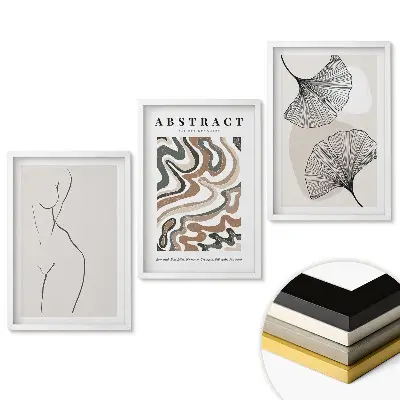 Triptych v rámu Abstraktní krása v jemných liniích