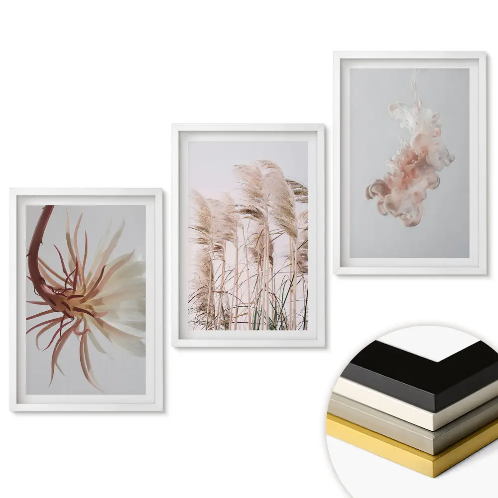 Triptych Křehká krása přírody v rámu