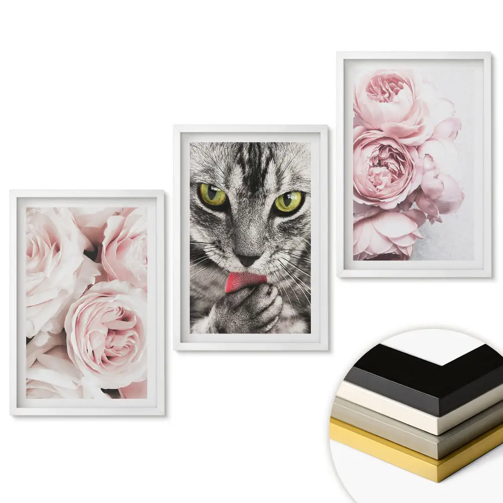 Triptych v rámu Kočky a květiny