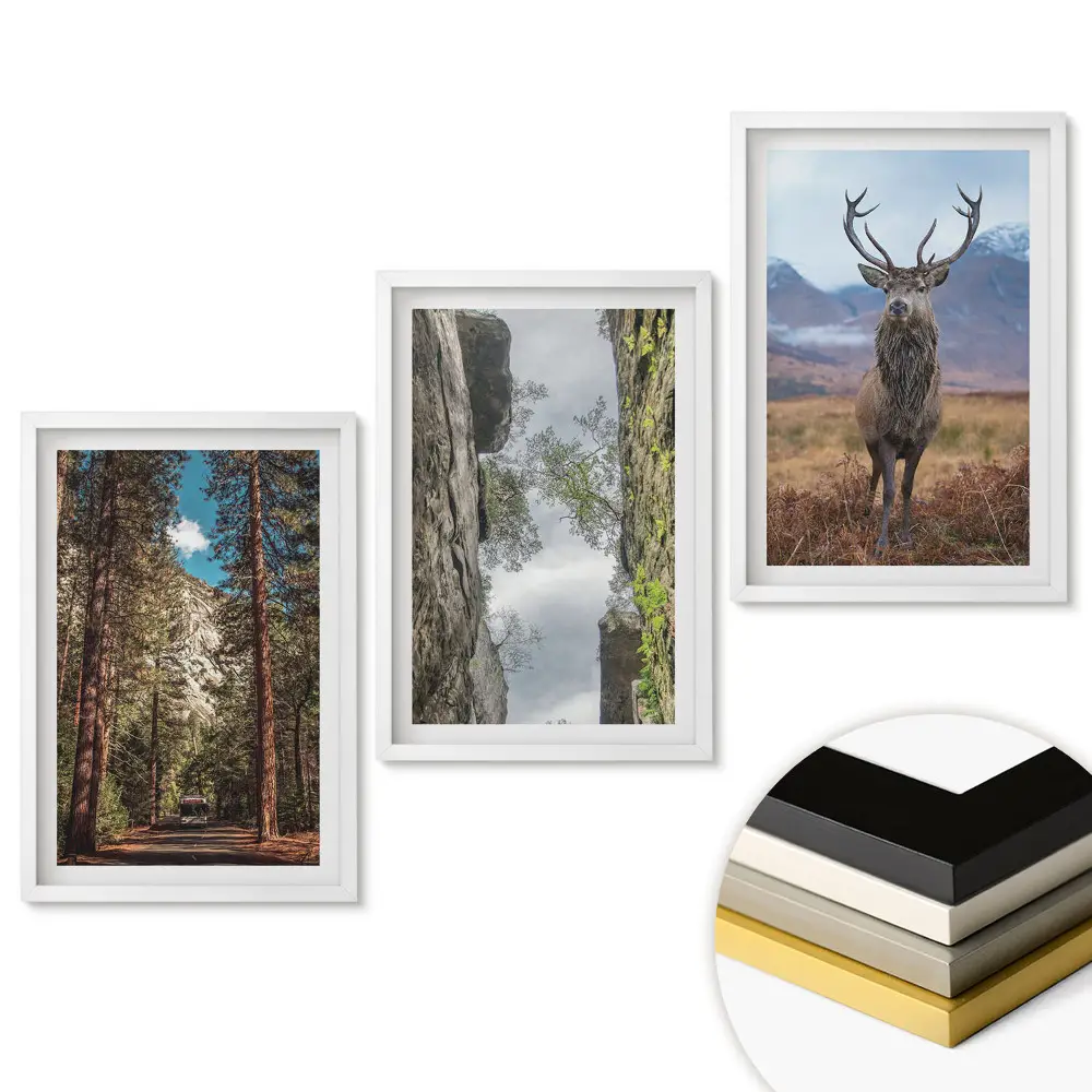 Triptych Příroda v rámu ve třech verzích