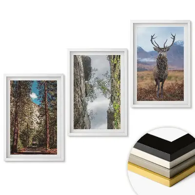 Triptych v rámu Příroda ve třech verzích