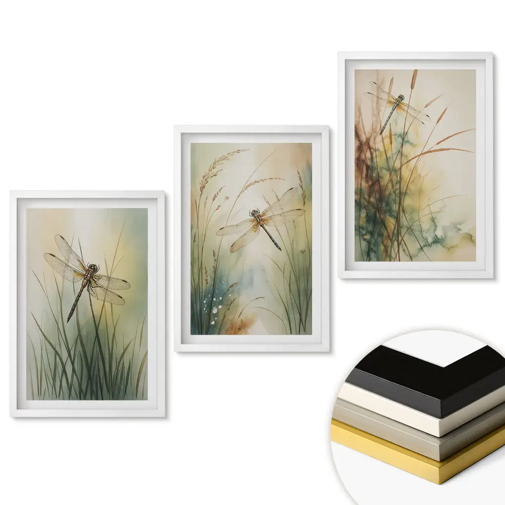 Triptych v rámu Štíhlé vážky v křehké krajině