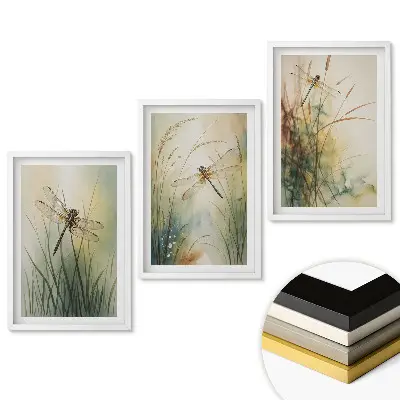 Triptych v rámu Štíhlé vážky v křehké krajině