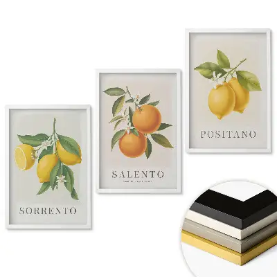 Triptych v rámu Citrusová inspirace z Itálie