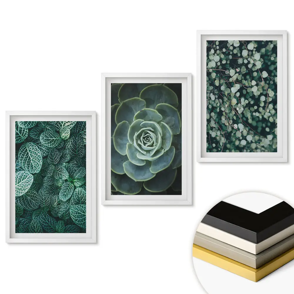 Triptych v rámu Zelená harmonie přírody