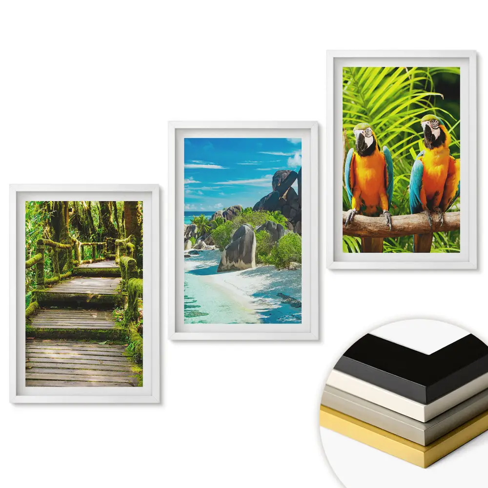 Triptych v rámu Tropická krajina a barevní ptáci