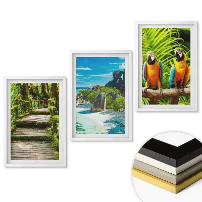 Triptych v rámu Tropická krajina a barevní ptáci