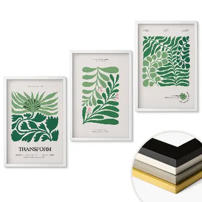 Triptych v rámu Zelená harmonie v rostlinném umění