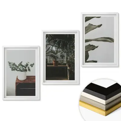 Set obrazů do obýváku Rostliny v moderním interiéru