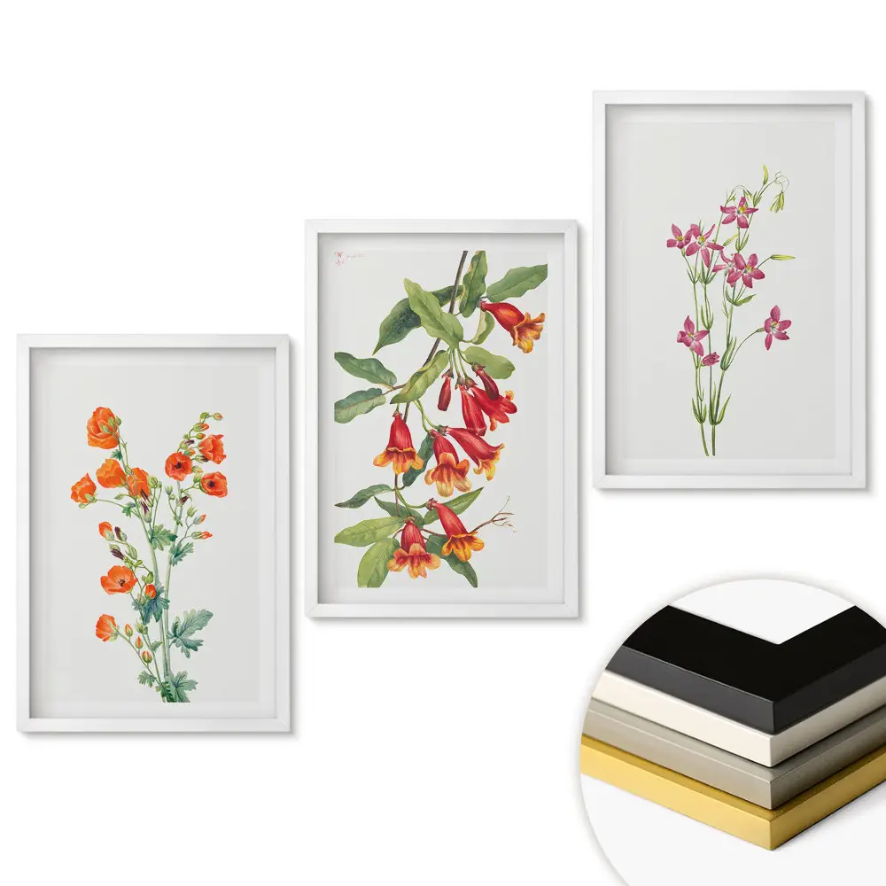 Triptych v rámu Barevné květiny v jemných ilustracích