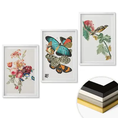 Triptych v rámu Květiny, motýli a ptáci v umění