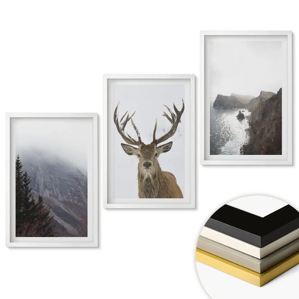 Triptych v rámu Příroda ve třech verzích