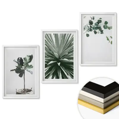 Set obrazů do obýváku Inspirace rostlinami v minimalistickém stylu