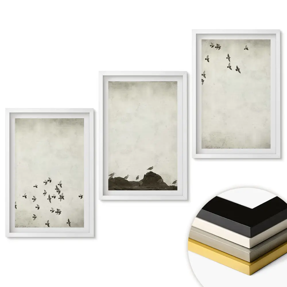 Triptych obrazů v rámu s motivem ptáků v přírodě