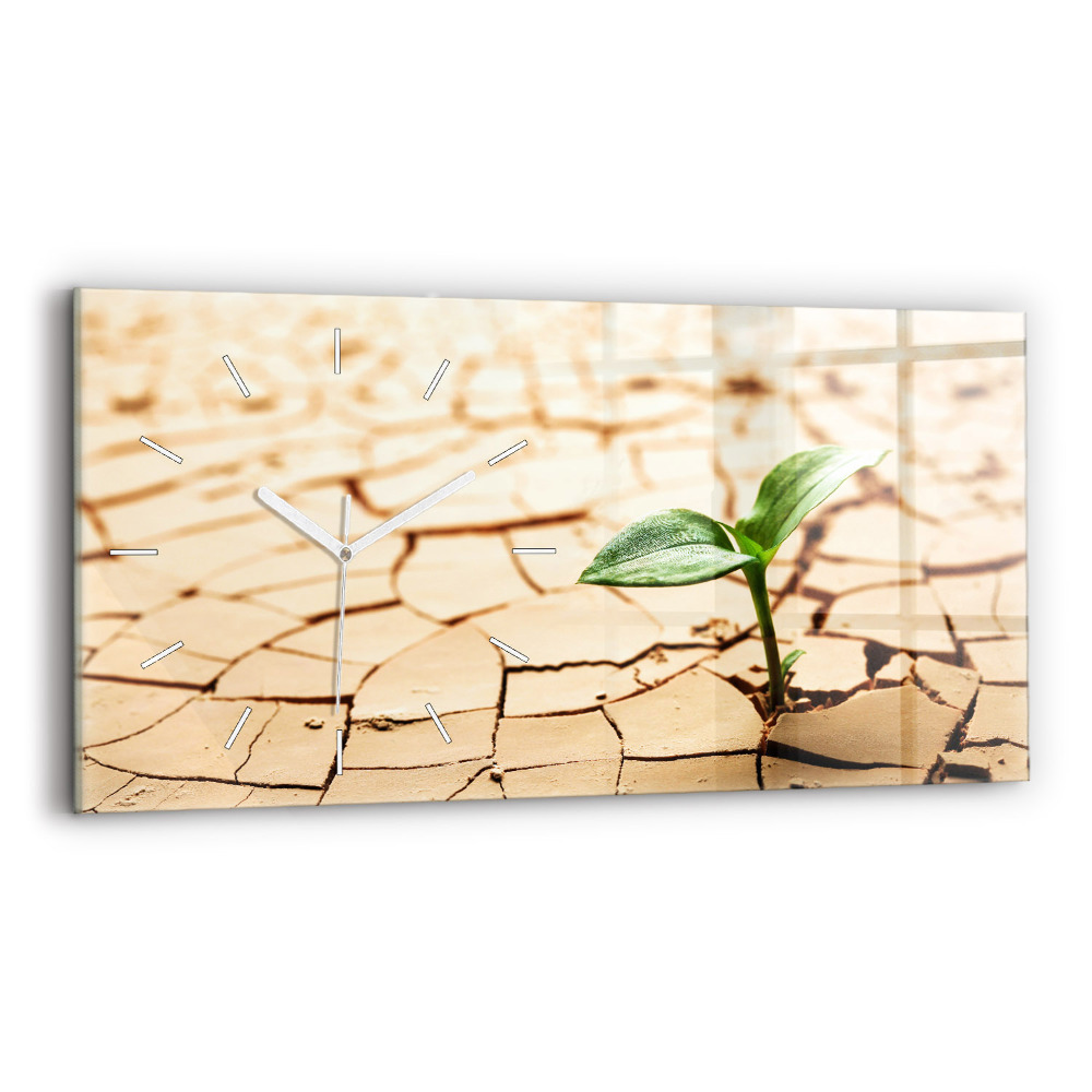 Skleněné hodiny na stěnu horizontální Rostlina v suché půdě